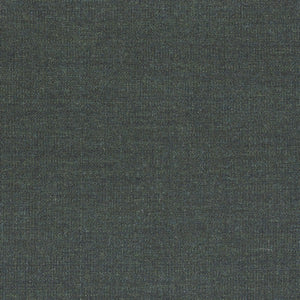 Swatch Canvas Fabric 0996