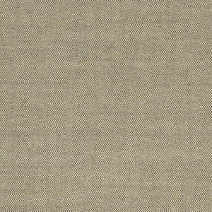 Swatch Atlas Fabric 411