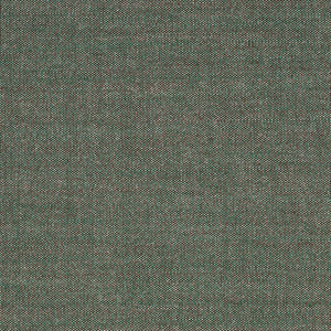 Swatch Atlas Fabric 931