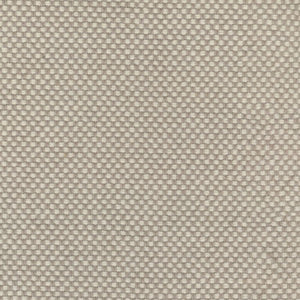 Swatch Sisu Fabric 105