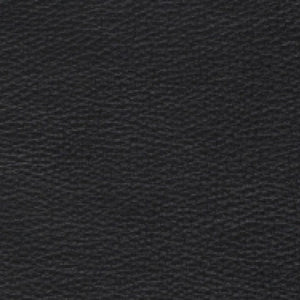 Swatch Trace Leather Black 8175