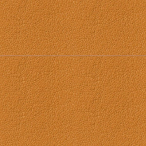 Swatch Trace Leather Light Tan 8870