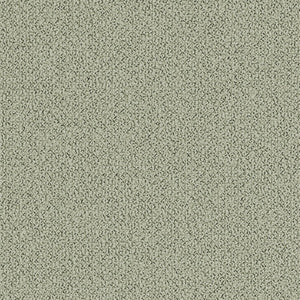 Swatch Grain Fabric 60302
