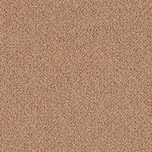 Swatch Grain Fabric 64249