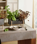 Botanic Collection, Box by Design House Stockholm