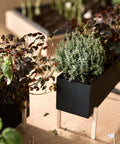 Botanic Collection, Box by Design House Stockholm