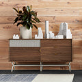 Blu Dot Dang 1 Door / 3 Drawer Console in walnut veneer with grey perforated steel door, styled in a modern room against a wood plank wall with a rubber plant and architectural white sculptures on top