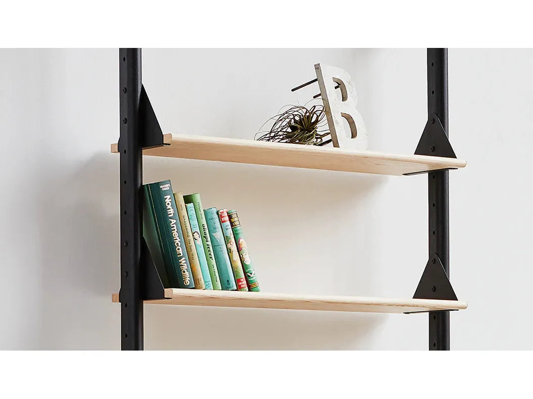 Branch 1 Shelving Unit in Black & Natural Ash by Gus Modern